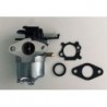 KARBURÁTOR BRIGGS&STRATTON SERIA 700, 750 DOV